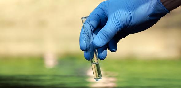 Water sample in test tube