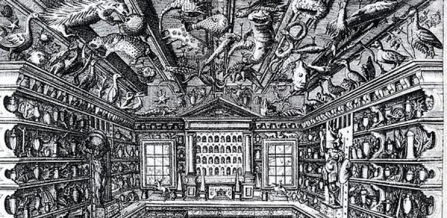 Francesco Calzolari Cabinet of curiosities 