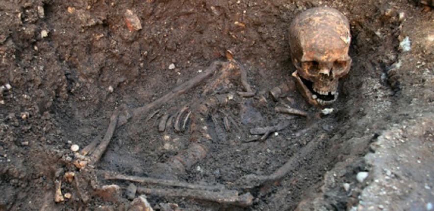 Skeleton of Richard III