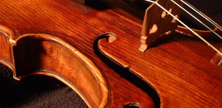 Violin -- closeup