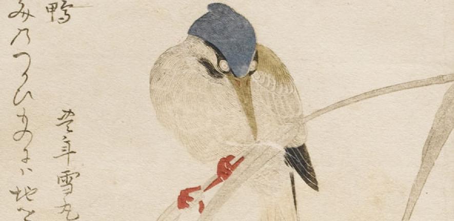 Detail of Kingfisher, woodblock printed in colour, Kitagawa Utamaro