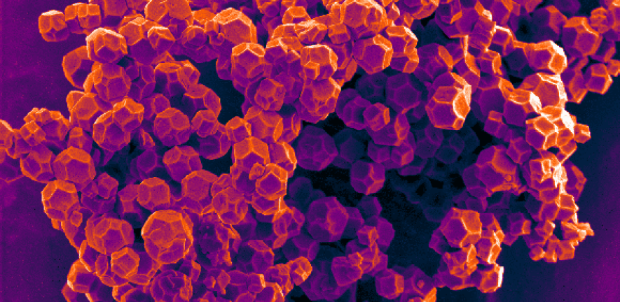 Scanning electron microscopy of highly crystalline metal-organic framework nanoparticles 