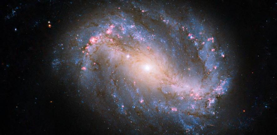 Barred Spiral Galaxy NGC 6217 