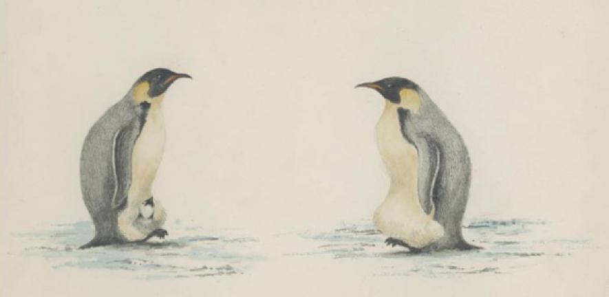 Exhibition Reunites Artworks From Captain Scott S Final Expedition