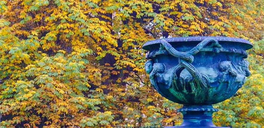 The vase on Senate House lawn