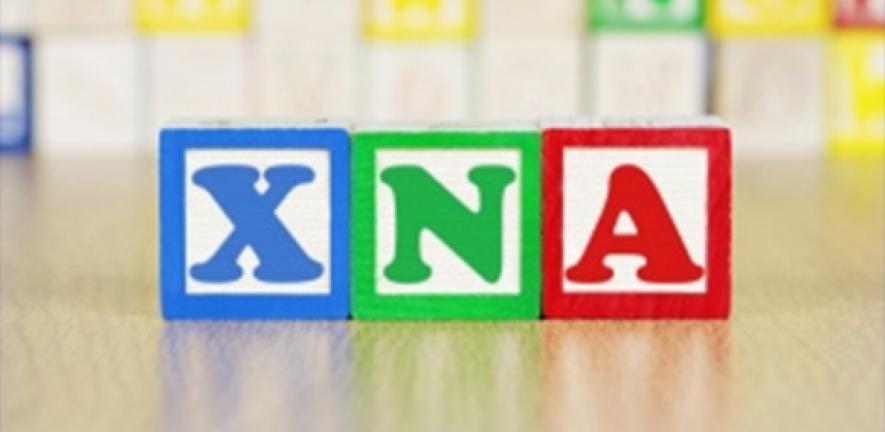The study built on previous work which created synthetic molecules known as “XNA”, then used these as the basis of creating so-called “XNAzymes”.