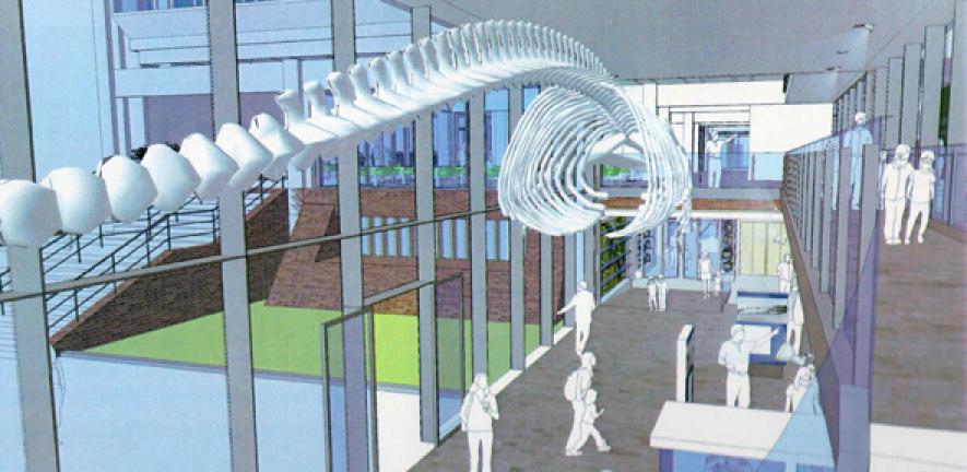 What the new Whale Hall will look like once completed