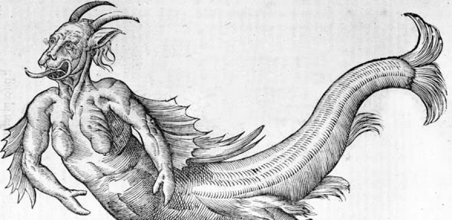 'Monstrum marinum daemoniforme' from Ulysse Aldrovandi's 'Monstrorum Historia' (1642, Bologna), p.350