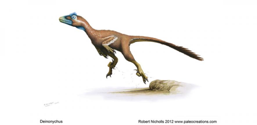 Deinonychus, Prior Extinction OFFICIAL Wiki