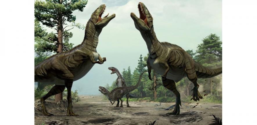 Opinion: Mysterious footprint fossils point to dancing dinosaur mating ritual | University of Cambridge Opinion: Mysterious footprint fossils point to dancing dinosaur mating ritual | University of Cambridge