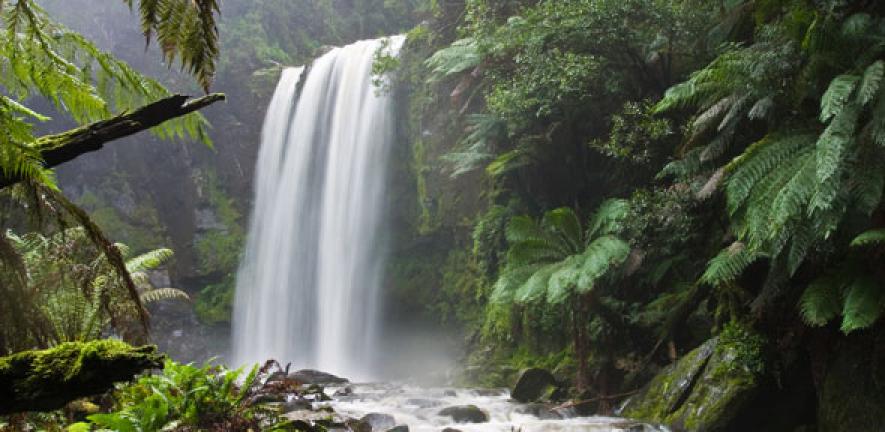 Hopetoun Falls, Beech Forest, near Otway National Park, Victoria, Australia.