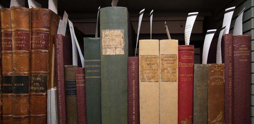 Books from Darwin's personal library