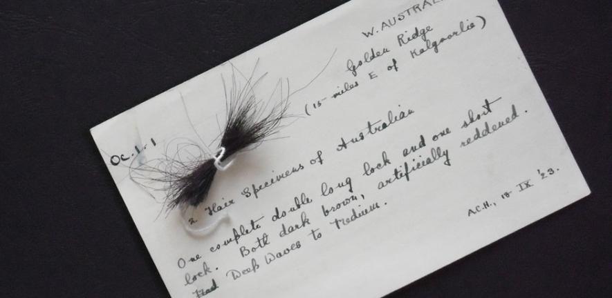 Original card with the lock of hair, written by A C Haddon after returning from Western Australia.