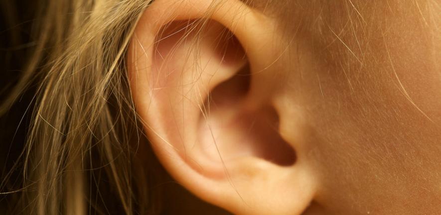 Ear