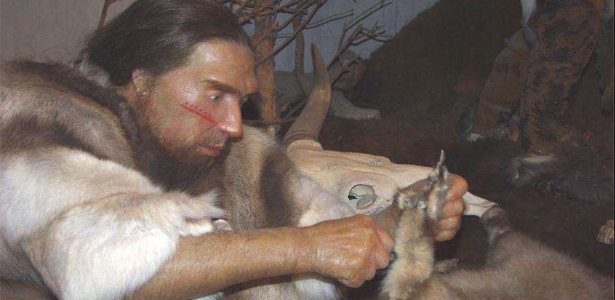 The traditional image of Neanderthals as gritty people who spent most of their time out hunting might not be entirely accurate, according to a new study revealing that they may have had to devote hours to daily subsistence tasks instead.