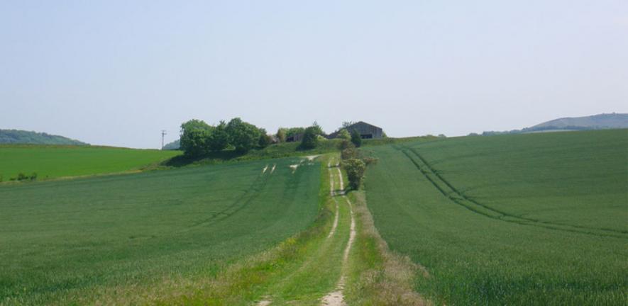 Green and pleasant land: A farm near East Meon in Hampshire.