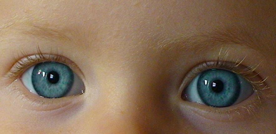 Alice eyes. Researchers found that most children believe that people can only see each other when their eyes meet.