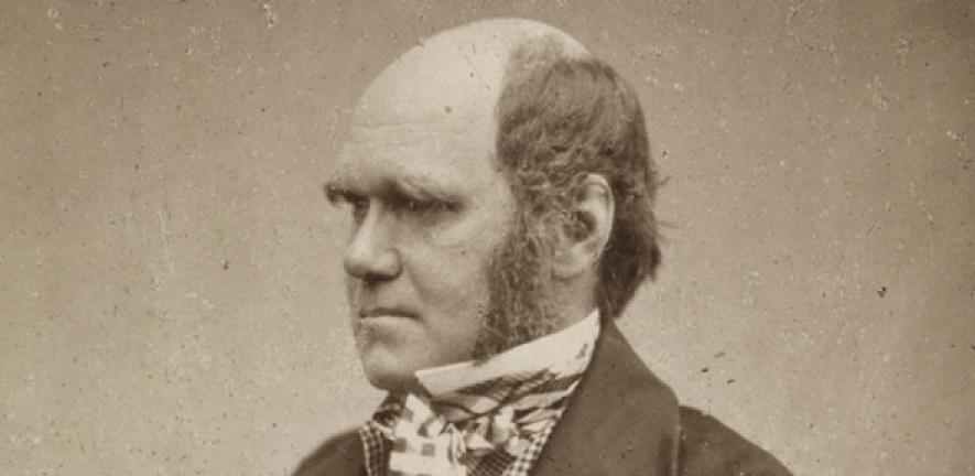 Portrait of Charles Darwin