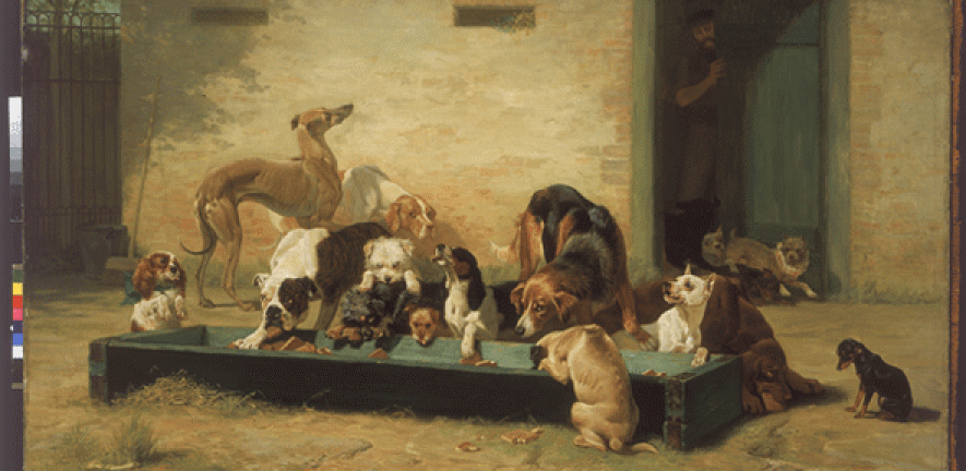 Feeding time at Battersea Dogs Home. John Charles Dollman, Table d’Hôte at a Dogs Home, 1879. 
