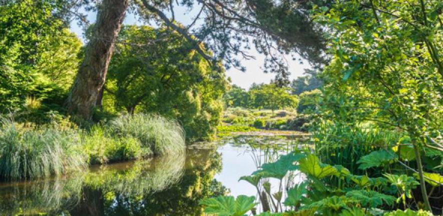 Cambridge University Botanic Garden (CUBG) 