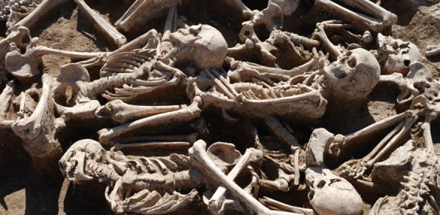 Mass burial of battle victims from the Xiongnu period in Omnogobi, Mongolia, from which scientists extracted ancient DNA from for the study.