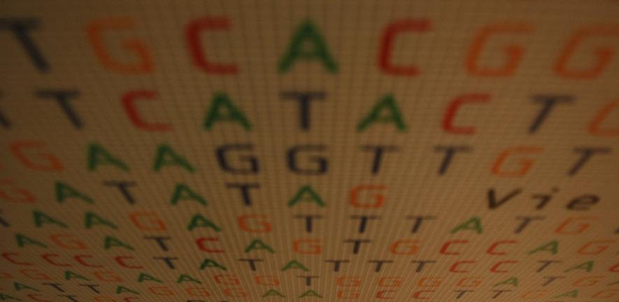 DNA representation