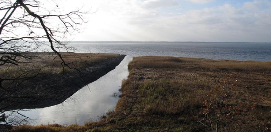 The shores of Lake Burtnieks in Latvia, near where the human remains were discovered from which ancient DNA was extracted for this study.