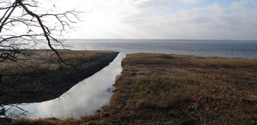 The shores of Lake Burtnieks in Latvia, near where the human remains were discovered from which ancient DNA was extracted for this study. 