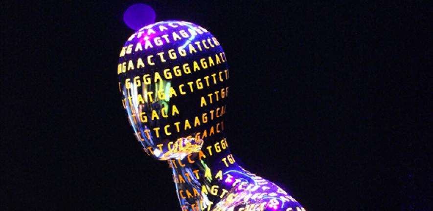 Human Genome mannequin