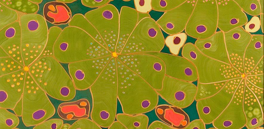 Close-up of artwork representing Acinar tissue - "The flowers of diabetes"