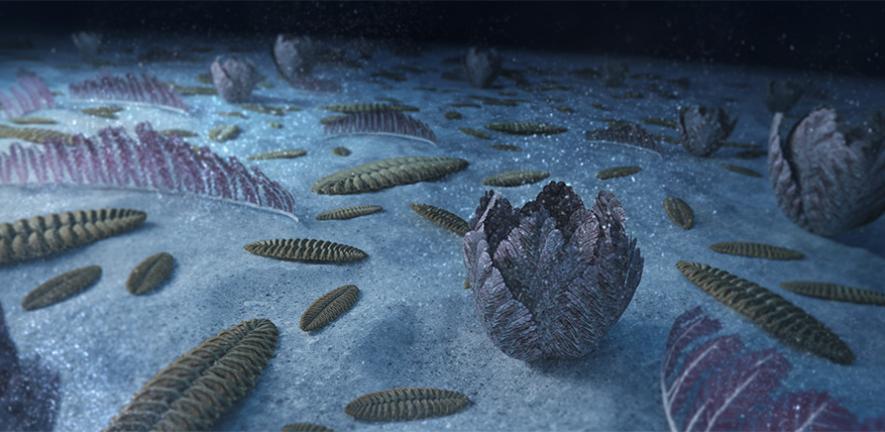 Earth’s earliest sea creatures drove evolution by stirring the water 