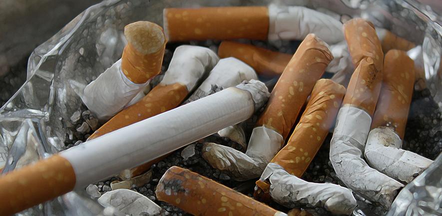 Close-up of cigarettes