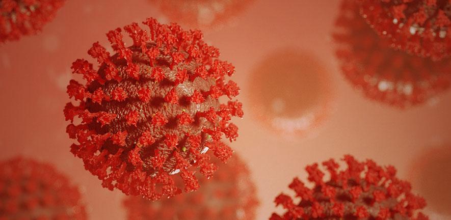 Image of SARS-CoV-2 viruses