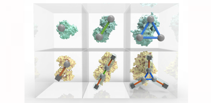 The periodic table of proteins