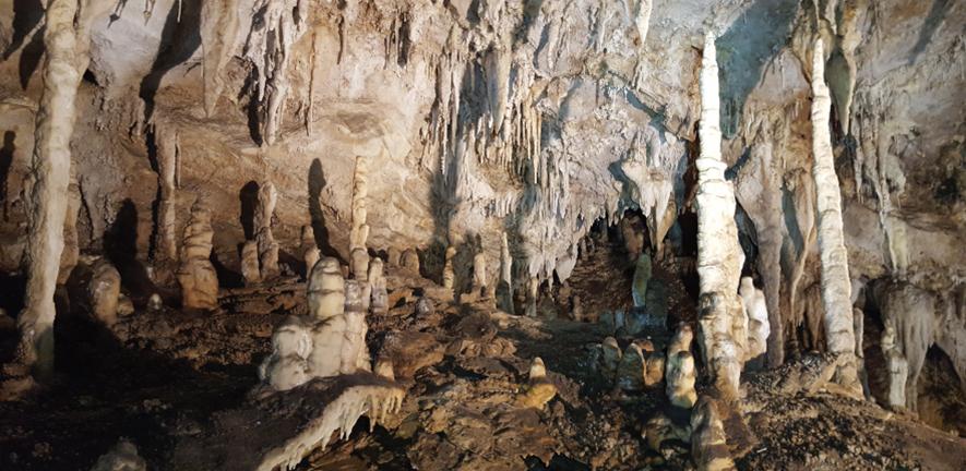 Speleothems in the Corchia Cave, Central Italy