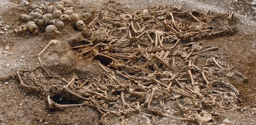A mass grave of around 50 headless Vikings from a site in Dorset, UK. Some of these remains were used for DNA analysis.