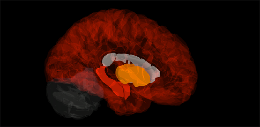 In healthy tissues, a gene expression signature associated with amyloid-beta and tau aggregation echoes the progression of AD well before the onset of the disease.