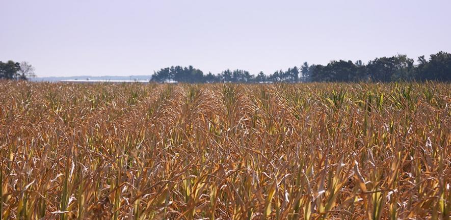 Iowa County Drought