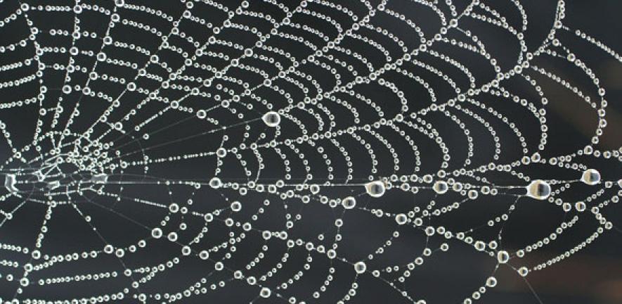 Spider web necklace with pearls of dew