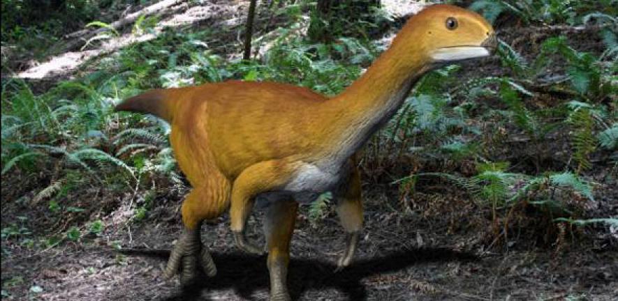 Life reconstruction of Chilesaurus diegosuarezi