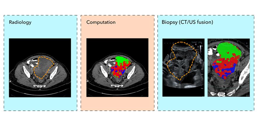 Image showing individual and combined scans