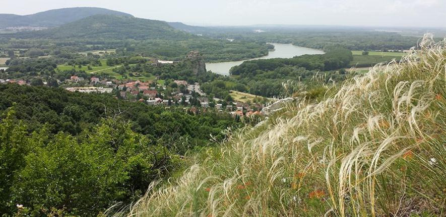 Devínska Kobyla Forest steppe in Slovakia