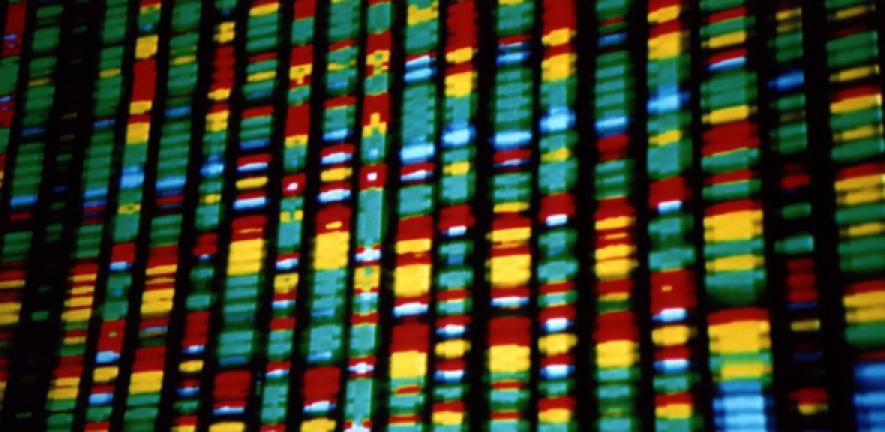 DNA representation (cropped)