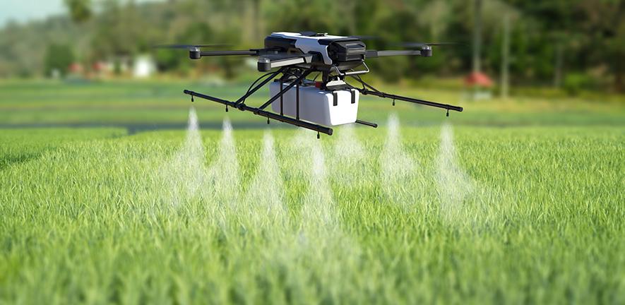 Drone spraying pesticide on wheat field