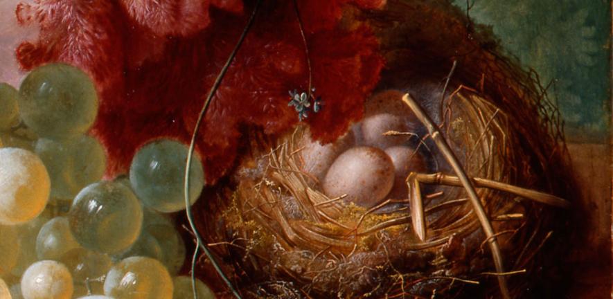 Nest of eggs; detail from ‘Flowers and Fruit’ (1732) by Jan van Os