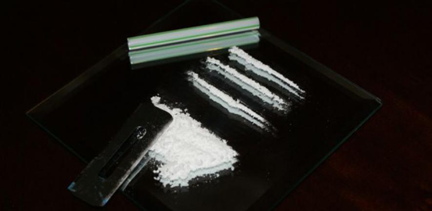 The skinny on cocaine  University of Cambridge