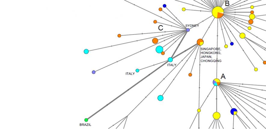 Figure from the PNAS paper showing the transmission routes using phylogenetic networks

https://www.cam.ac.uk/research/news/covid-19-genetic-network-analysis-provides-snapshot-of-pandemic-origins