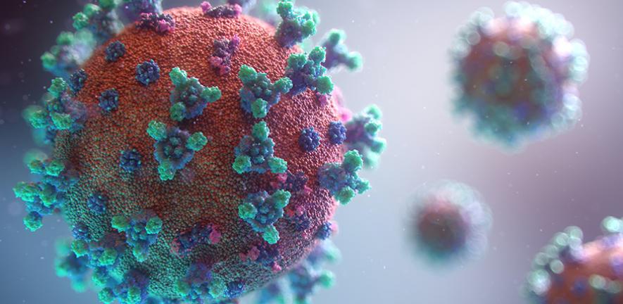 visualisation of the Covid-19 virus