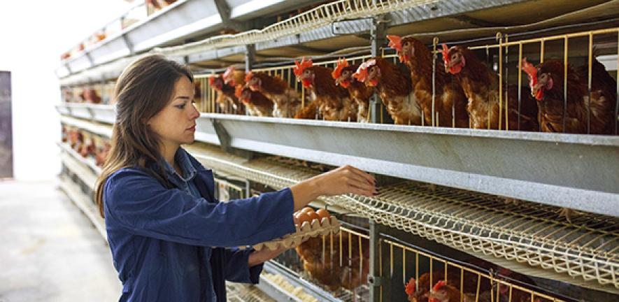 Portrait of young woman farmer holding fresh eggs in hands