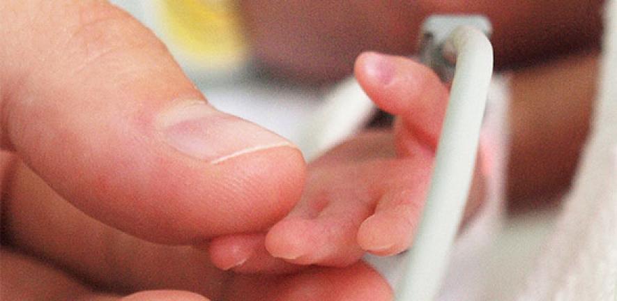 Mother is holding a tiny hand of her preterm baby that is in the NICU.